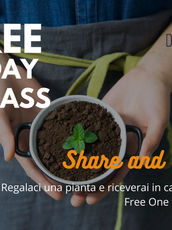 Free One Day Pass al coworking Dialogue Place